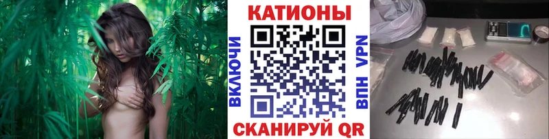 МЯУ-МЯУ VHQ  Купить закладки  Гусев 