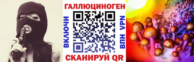Псилоцибиновые грибы Psilocybine cubensis  Купить где  Гусев 